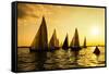 Sailboats Race, a Seasonal Race Held Every Tuessday Evening During the Summer-Keith Homan-Framed Stretched Canvas