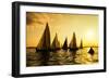 Sailboats Race, a Seasonal Race Held Every Tuessday Evening During the Summer-Keith Homan-Framed Photographic Print