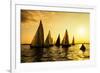 Sailboats Race, a Seasonal Race Held Every Tuessday Evening During the Summer-Keith Homan-Framed Photographic Print