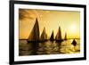 Sailboats Race, a Seasonal Race Held Every Tuessday Evening During the Summer-Keith Homan-Framed Photographic Print