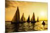 Sailboats Race, a Seasonal Race Held Every Tuessday Evening During the Summer-Keith Homan-Mounted Photographic Print
