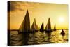 Sailboats Race, a Seasonal Race Held Every Tuessday Evening During the Summer-Keith Homan-Stretched Canvas