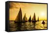 Sailboats Race, a Seasonal Race Held Every Tuessday Evening During the Summer-Keith Homan-Framed Stretched Canvas