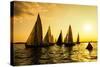 Sailboats Race, a Seasonal Race Held Every Tuessday Evening During the Summer-Keith Homan-Stretched Canvas