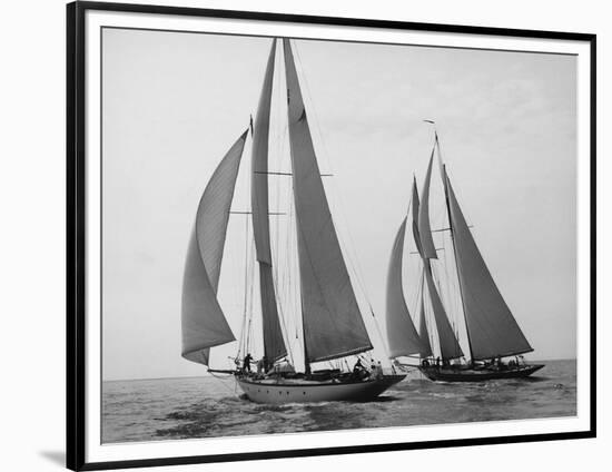 Sailboats Race during Yacht Club Cruise-Edwin Levick-Framed Art Print