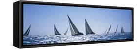 Sailboats Racing in the Sea, Farr 40's Race During Key West Race Week, Key West Florida, 2000-null-Framed Stretched Canvas