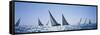 Sailboats Racing in the Sea, Farr 40's Race During Key West Race Week, Key West Florida, 2000-null-Framed Stretched Canvas