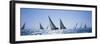 Sailboats Racing in the Sea, Farr 40's Race During Key West Race Week, Key West Florida, 2000-null-Framed Photographic Print