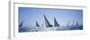 Sailboats Racing in the Sea, Farr 40's Race During Key West Race Week, Key West Florida, 2000-null-Framed Photographic Print