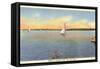 Sailboats, Saginaw Bay, Bay City, Michigan-null-Framed Stretched Canvas