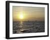 Sailboats with Sunset-Michael Brown-Framed Photographic Print