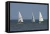 Sailboats-Charles Bowman-Framed Stretched Canvas