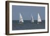 Sailboats-Charles Bowman-Framed Photographic Print