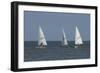Sailboats-Charles Bowman-Framed Photographic Print