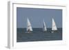 Sailboats-Charles Bowman-Framed Photographic Print