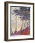 Sailboats-Paul Signac-Framed Giclee Print