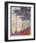 Sailboats-Paul Signac-Framed Giclee Print