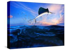 Sailfish Flying over Blue Sea Ocean Use for Marine Life and Beautiful Aquatic Nature-khunaspix-Stretched Canvas