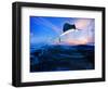 Sailfish Flying over Blue Sea Ocean Use for Marine Life and Beautiful Aquatic Nature-khunaspix-Framed Photographic Print