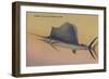 Sailfish from Gulf Stream, Florida - Florida-Lantern Press-Framed Art Print