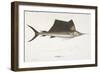 Sailfish. Istiophorus-Christian Ehrenberg-Framed Giclee Print