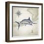 Sailfish Map I-Rick Novak-Framed Art Print