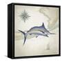 Sailfish Map I-Rick Novak-Framed Stretched Canvas
