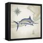 Sailfish Map I-Rick Novak-Framed Stretched Canvas