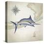 Sailfish Map I-Rick Novak-Stretched Canvas