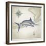 Sailfish Map I-Rick Novak-Framed Art Print