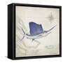 Sailfish Map II-Rick Novak-Framed Stretched Canvas