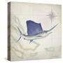 Sailfish Map II-Rick Novak-Stretched Canvas