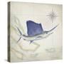 Sailfish Map II-Rick Novak-Stretched Canvas