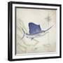Sailfish Map II-Rick Novak-Framed Art Print