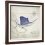 Sailfish Map II-Rick Novak-Framed Art Print