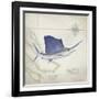 Sailfish Map II-Rick Novak-Framed Art Print