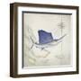 Sailfish Map II-Rick Novak-Framed Art Print