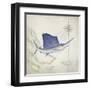 Sailfish Map II-Rick Novak-Framed Art Print