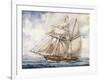 Sailing Along Coast of Falkland Islands with Schooner Sarandi in 1832-1833-null-Framed Giclee Print