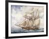 Sailing Along Coast of Falkland Islands with Schooner Sarandi in 1832-1833-null-Framed Giclee Print