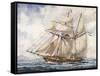 Sailing Along Coast of Falkland Islands with Schooner Sarandi in 1832-1833-null-Framed Stretched Canvas