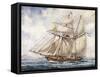 Sailing Along Coast of Falkland Islands with Schooner Sarandi in 1832-1833-null-Framed Stretched Canvas