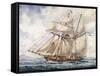 Sailing Along Coast of Falkland Islands with Schooner Sarandi in 1832-1833-null-Framed Stretched Canvas