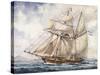 Sailing Along Coast of Falkland Islands with Schooner Sarandi in 1832-1833-null-Stretched Canvas