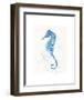 Sailing Along (Seahorse)-Sillier than Sally-Framed Art Print