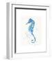 Sailing Along (Seahorse)-Sillier than Sally-Framed Art Print