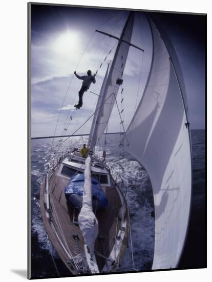 Sailing Along-null-Mounted Photographic Print