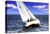 Sailing at Day's End-Alan Hausenflock-Stretched Canvas