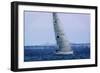 Sailing at Dusk I-Alan Hausenflock-Framed Photographic Print