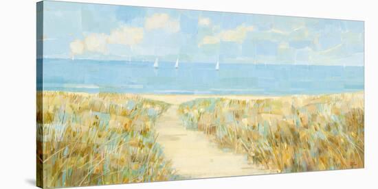 Sailing at Sandy Bay-Hazel Barker-Stretched Canvas